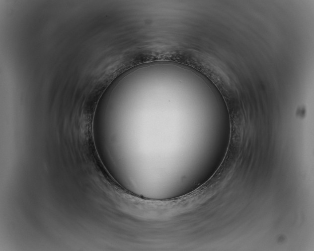 X0000100340034200806121201