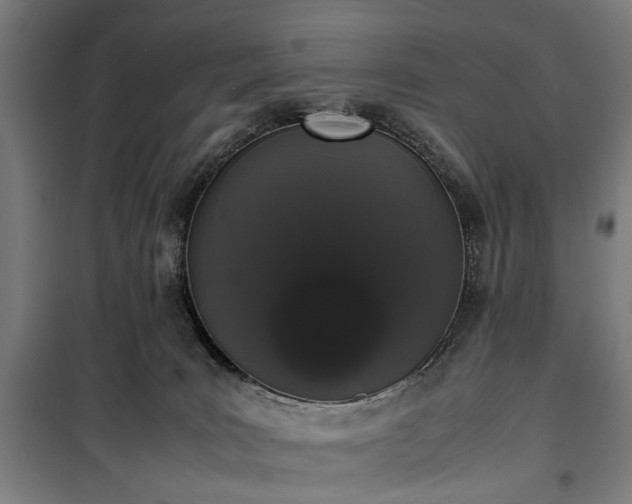 X0000100340035200806121201