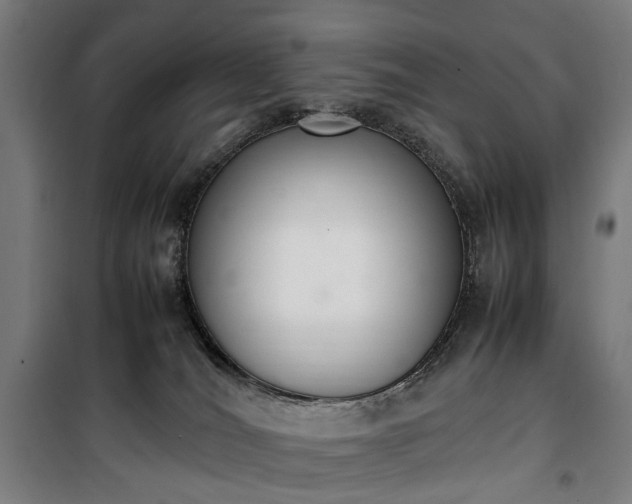 X0000100340036200806121201