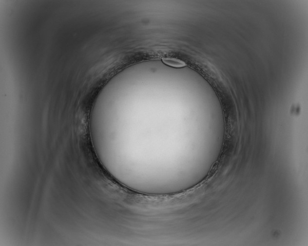 X0000100340037200806121201