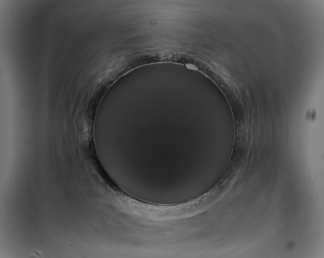 X0000100340039200806121201