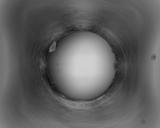 X0000100340040200806121201