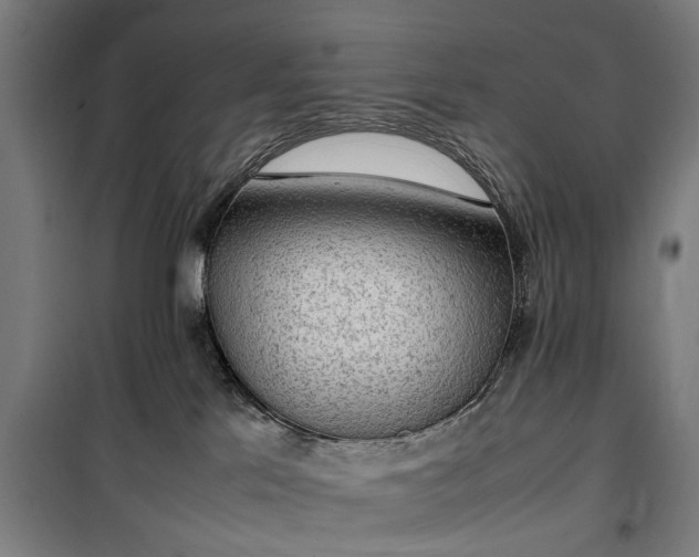 X0000100340041200806121201