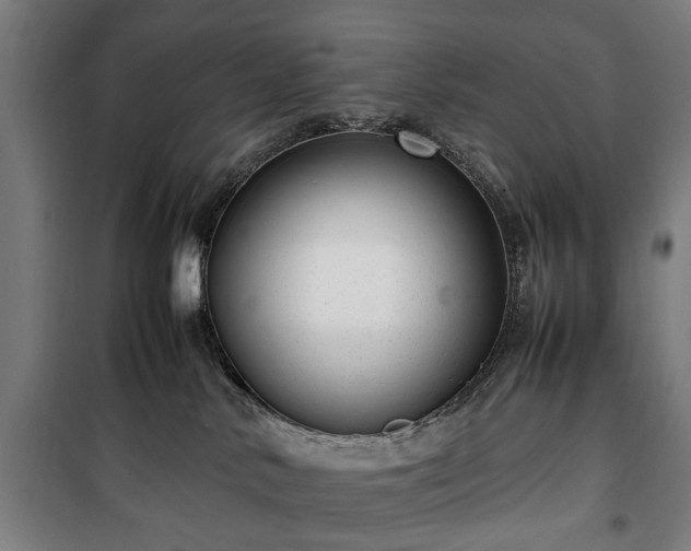 X0000100340042200806121201