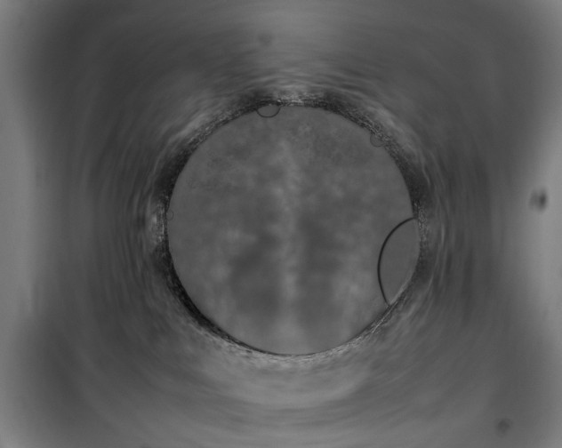 X0000100340043200806121201