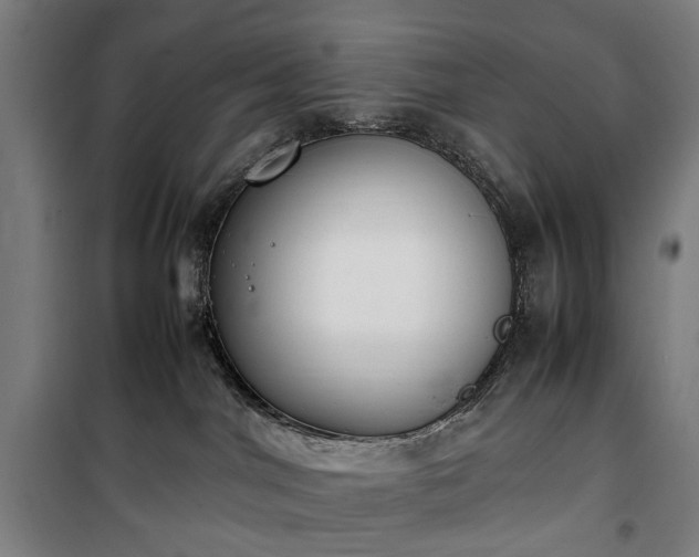 X0000100340044200806121201