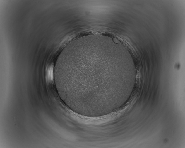 X0000100340046200806121201