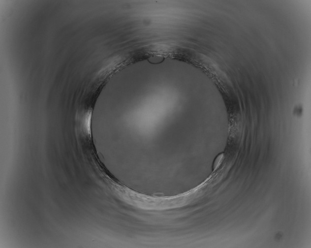 X0000100340047200806121201