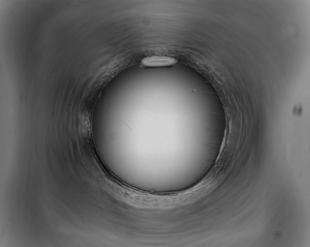 X0000100340048200806121201