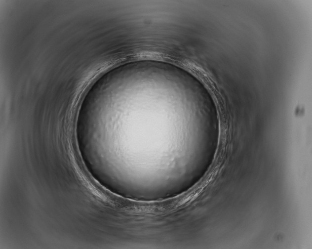 X0000100340049200806121200