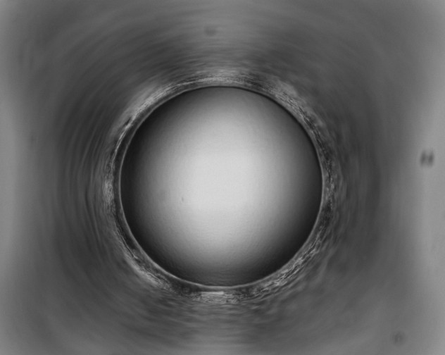 X0000100340050200806121200