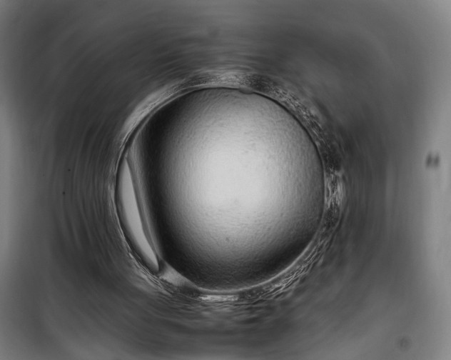 X0000100340051200806121200