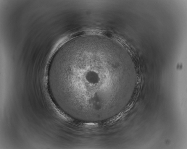 X0000100340053200806121200