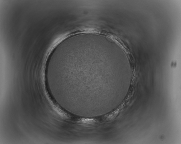 X0000100340055200806121200