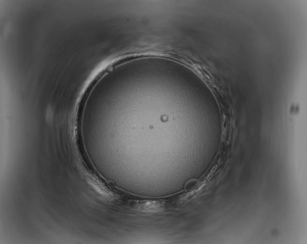 X0000100340056200806121200