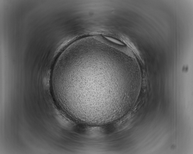 X0000100340058200806121200