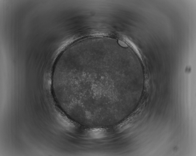 X0000100340059200806121200