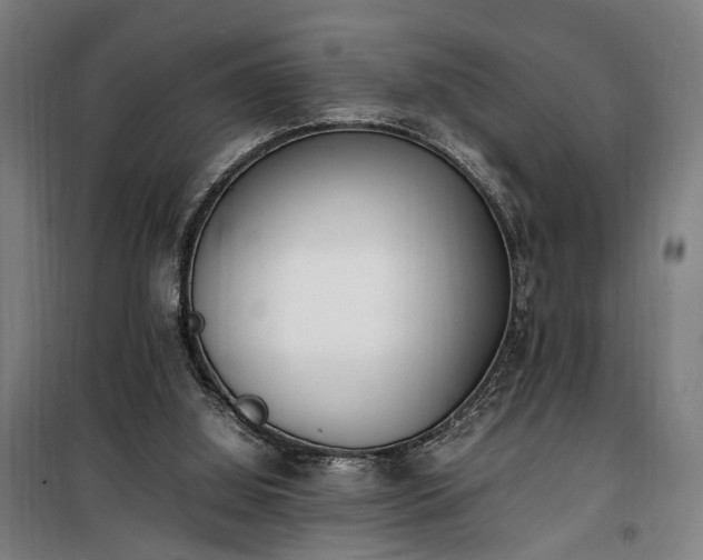 X0000100340060200806121200