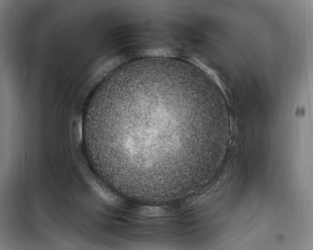 X0000100340061200806121200