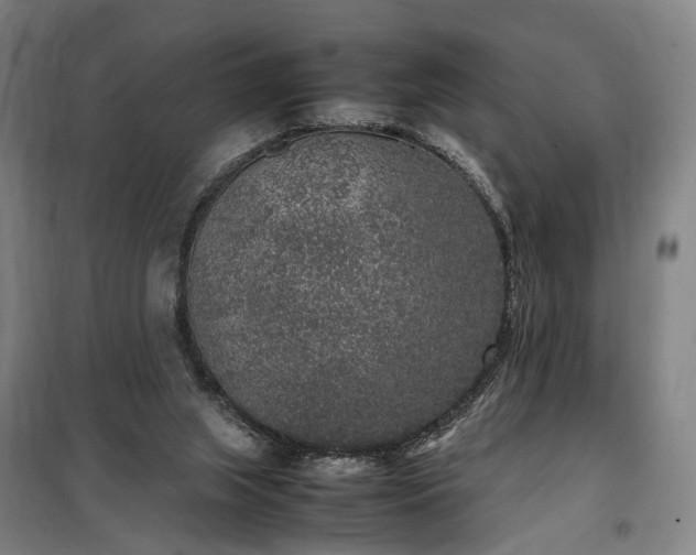 X0000100340063200806121200