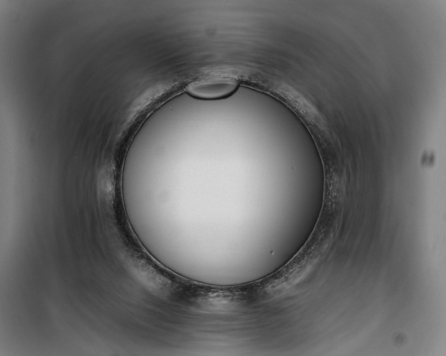 X0000100340064200806121200