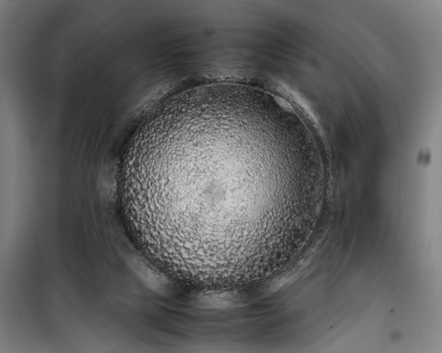 X0000100340065200806121200