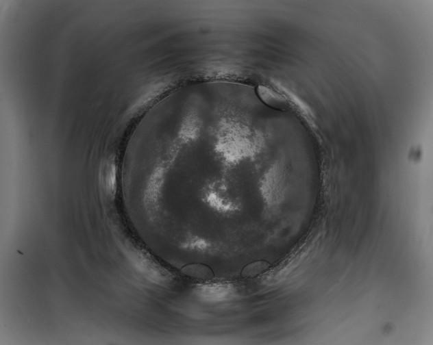 X0000100340067200806121200