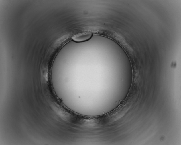 X0000100340068200806121200