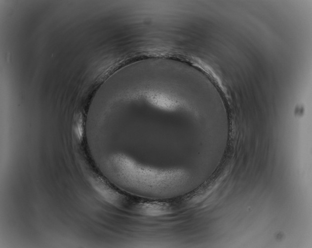 X0000100340069200806121201