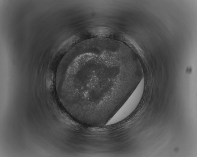 X0000100340073200806121201