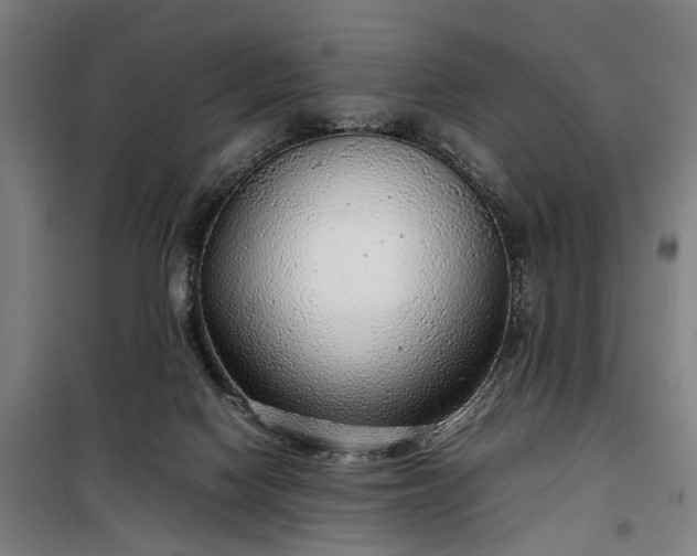 X0000100340074200806121201