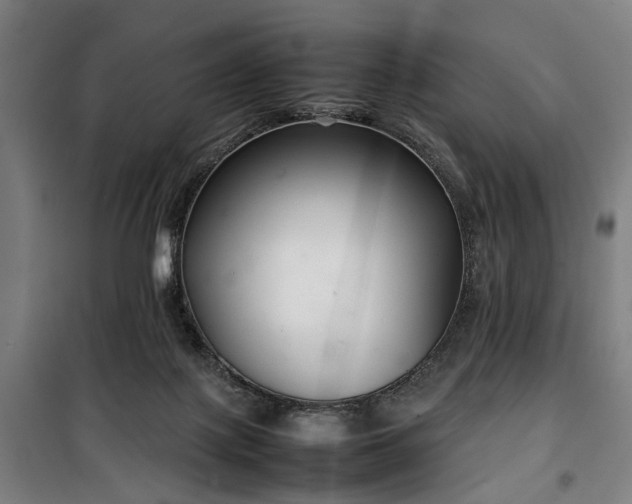 X0000100340075200806121201