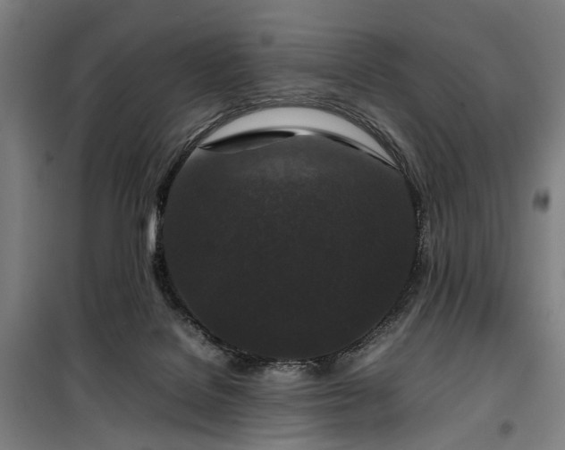 X0000100340076200806121201