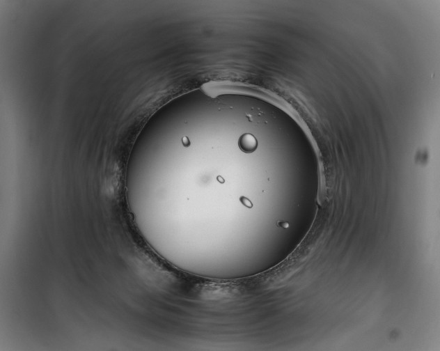 X0000100340077200806121201