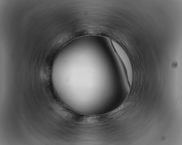 X0000100340078200806121201