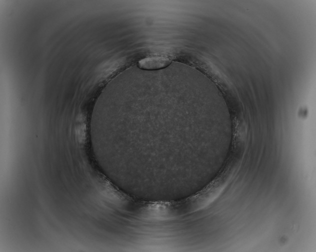 X0000100340080200806121201