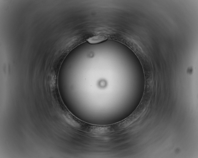 X0000100340081200806121201