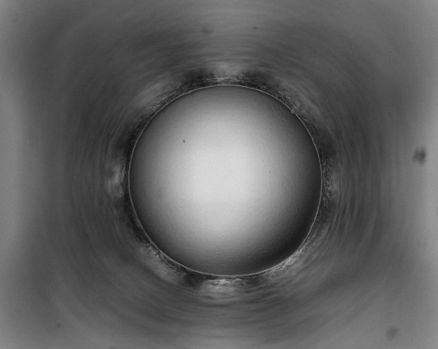 X0000100340082200806121201