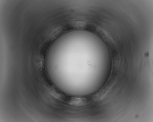 X0000100340083200806121201