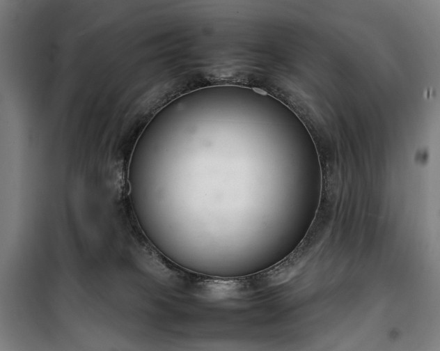 X0000100340085200806121201