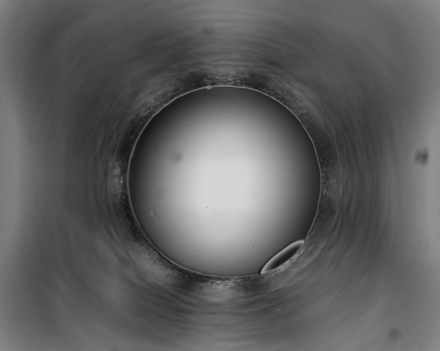 X0000100340086200806121201