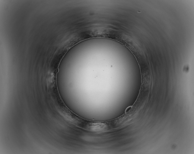 X0000100340087200806121201