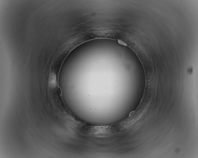 X0000100340089200806121201