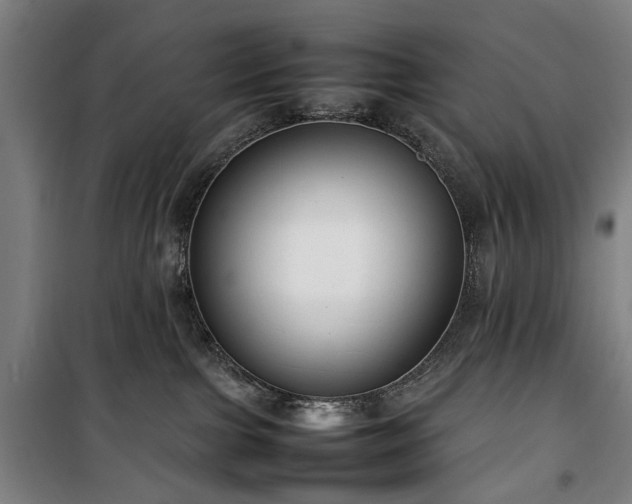 X0000100340091200806121201