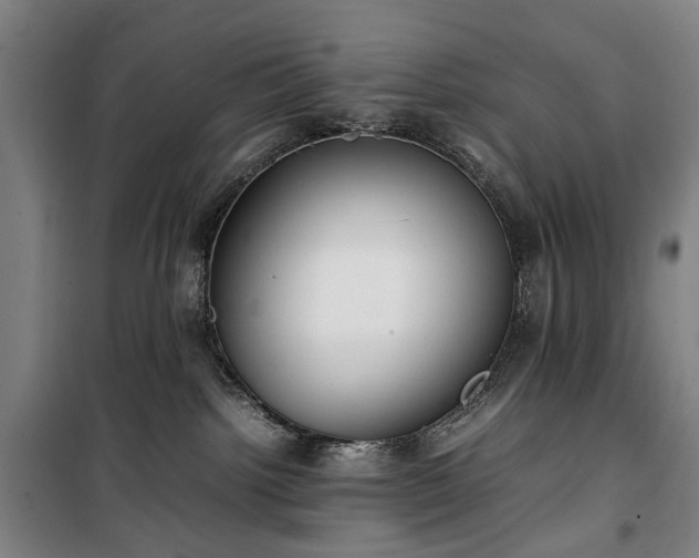 X0000100340092200806121201