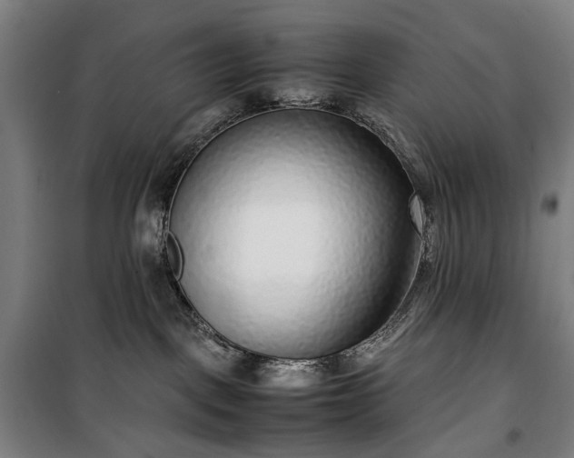 X0000100340093200806121201