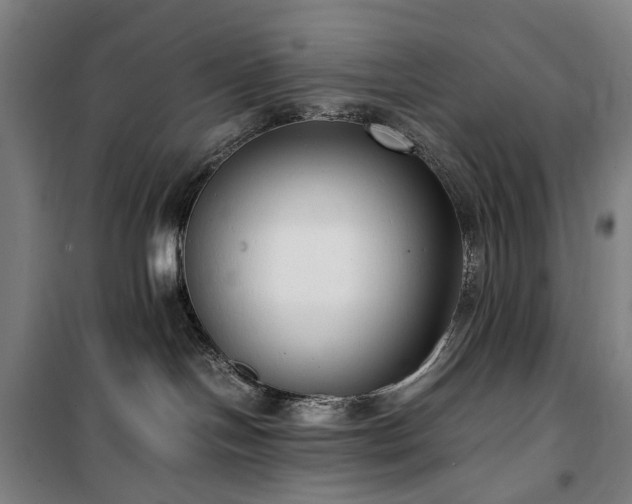 X0000100340094200806121201