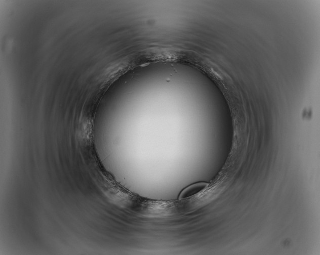 X0000100340096200806121201