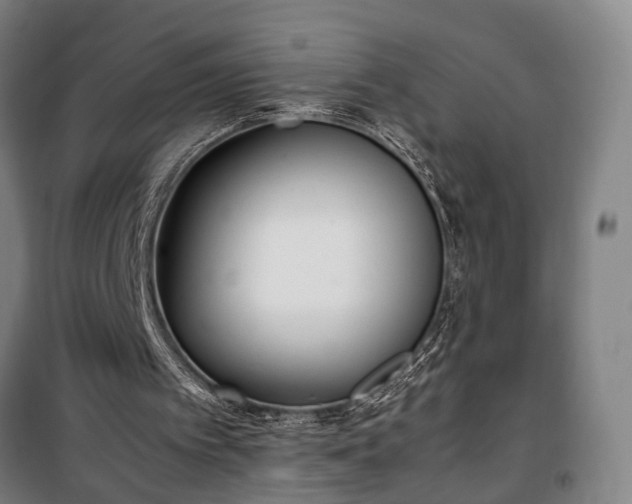 X0000100340097200806121200