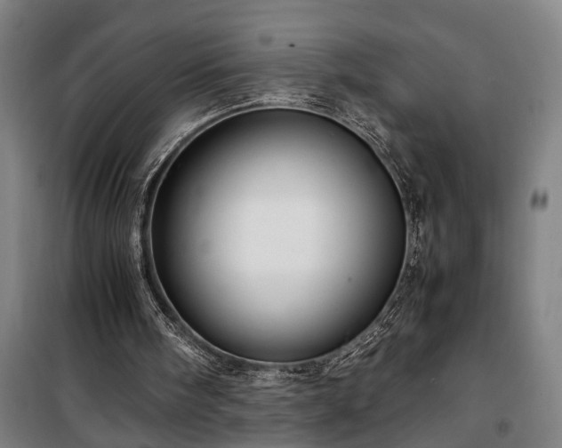 X0000100340098200806121200